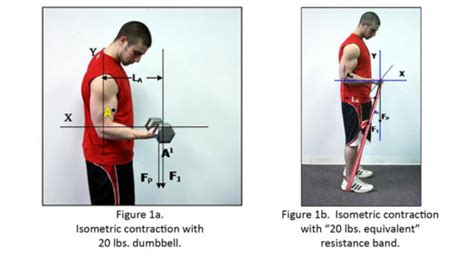 Isometric Training Using Resistance Bands Vs Weights Aqspeed