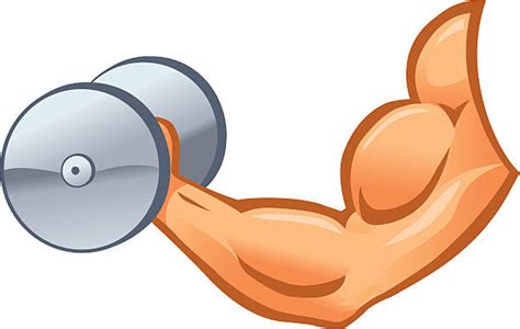 Bicep Curl Clipart 20 Free Cliparts Download Images On Clipground 2024