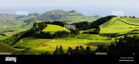 Volcanic craters, São Miguel island. Azores islands, Portugal Stock ...