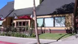 3 Best Seafood Restaurants in Glendale, CA - Expert Recommendations