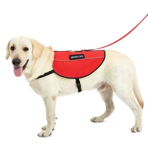 Service Dog Vest | USA Service Dogs