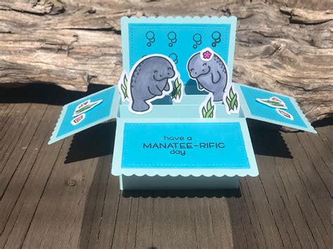 Manatee Card In A Box Manatee Pop Up Card Box Birthday Card Card Pop