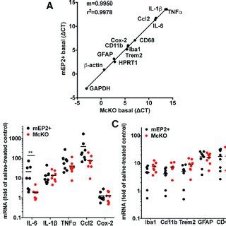 Expression Of Inflammatory Mediators And Glial Markers In Hippocampus 4