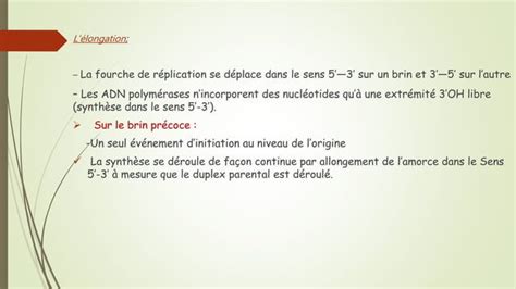 La réplication dADN chez les procaryotes PPT