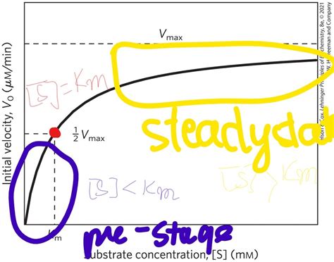 Enzyme Kinetics Diagram Quizlet