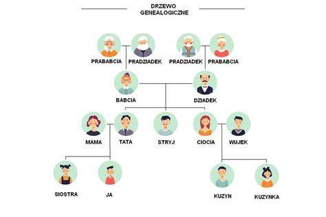 Drzewo genealogiczne co to jest jak wygląda schemat Wikikids