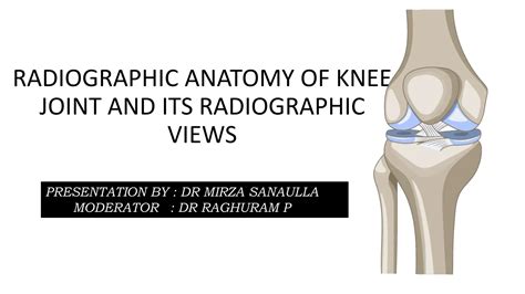 Radiographic Anatomy Of Knee Joint And Its Radiographic Viewspptx