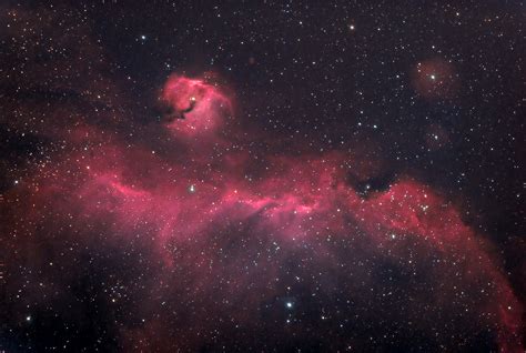 The Seagull Nebula Deography By Dylan Odonnell