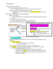 Understanding Dna Replication And Pcr In Mcb Meeting Course Hero