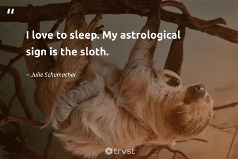 25 Sloth Quotes About Diligence And Slowing Down