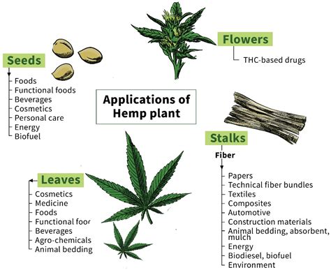 Uses Of Hemp Fiber