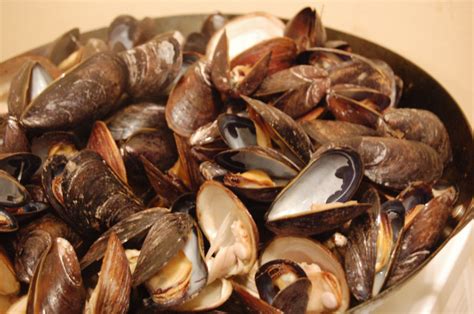 Homemade Shellfish Shellfish Galore Snowpeaandbokchoi Flickr