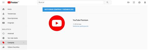 Qu Nos Ofrece El Servicio Premium De Youtube