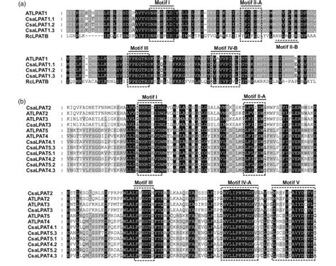 Amino acid sequence alignments of CsaLPAT1-5. (a) Amino acid sequence ...