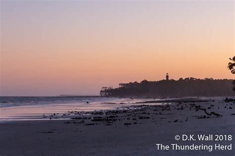 Hunting Island State Park | The Thundering Herd