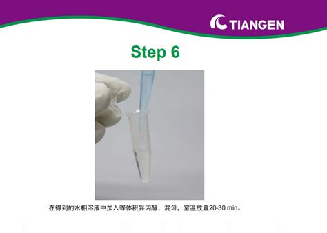 Trnzol A 总 Rna 提取试剂操作指南（dp421） ——动物组织 丁香实验