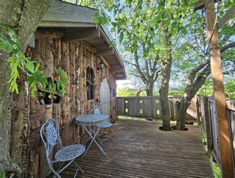 La Cabane Dans Les Arbres Au Refuge Des Ours Cabane Dans Les