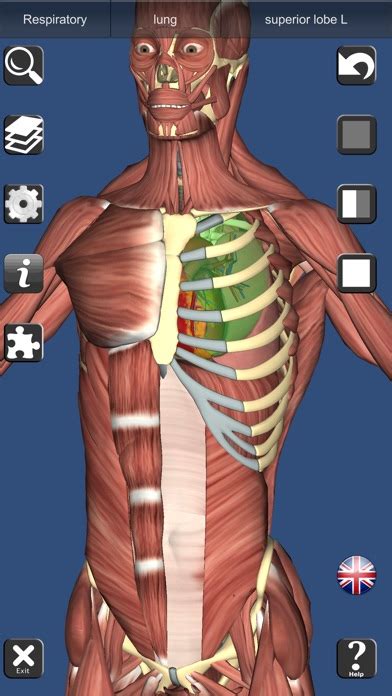 3D Anatomy Learning App Download - Android APK