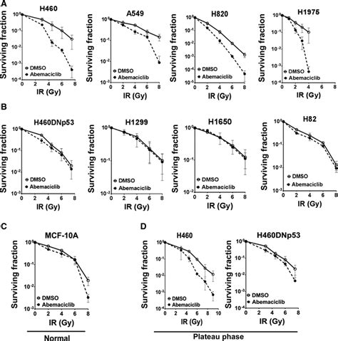 Radiation Survival Curves For Lung Cancer Cell Lines Treated With