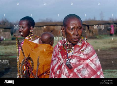 MASAI MARA KENYA Africa Kenya Stock Photo - Alamy