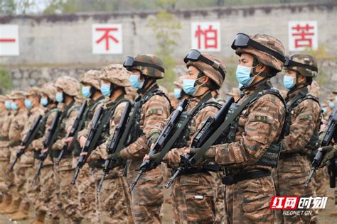 开训即开“战” ，湖南武警常德支队吹响新年度实战化练兵号角组图 特种装备网