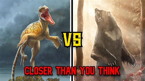 Utahraptor Vs Grizzly Bear Closer Than You Think Youtube