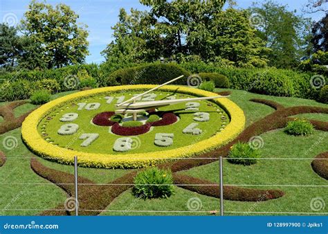 flower clock stock photo image  flowerbed lawn garden