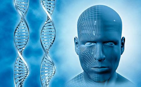 Dna Face Recognition And Legal Paternity Test Service