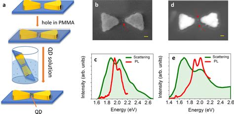 Spectroscopy Of Plasmonic Cavities With Qds A Schematic Of The