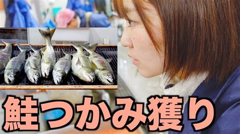 秋サケ【異例の不漁】漁解禁も続く不漁鮭のつかみ獲り Youtube