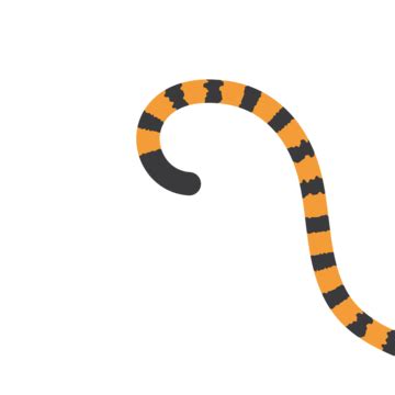 Tiger Tail Vector Art PNG Images | Free Download On Pngtree