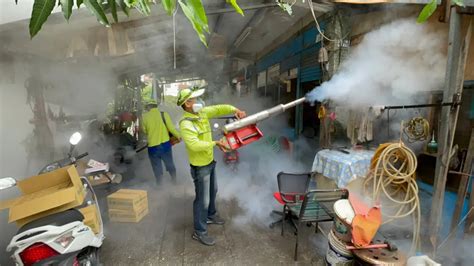 高雄市本土登革熱2 小港區青島里群聚疫情累計6例 生活焦點 要聞 Nownews今日新聞