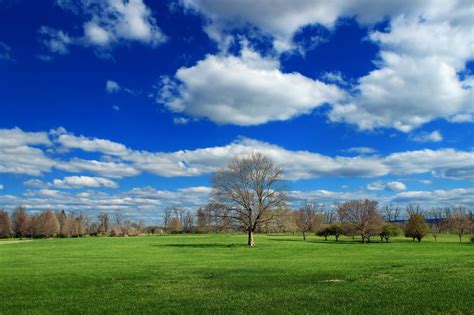 Imagen Gratis Hierba Paisaje Campo Nube Rural Naturaleza Paisaje