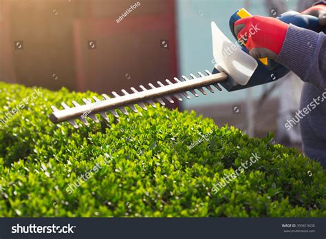 6,725 Hedge Trimmers Images, Stock Photos & Vectors | Shutterstock