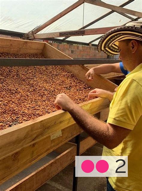 Kahve çekirdeği arşivleri McKinlay Coffee Cacao