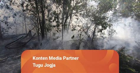 42 Hektare Hutan Di Gunung Sumbing Terbakar