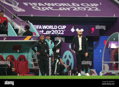 Morocco Head Coach Walid Regragui During The Fifa World Cup Qatar