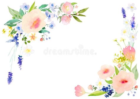 Watercolor Flowers Card Template Stock Illustration Illustration Of