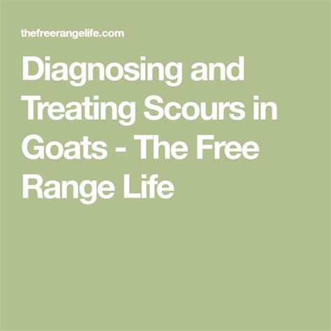 Diagnosing And Treating Scours In Goats Goats Treats Free Range