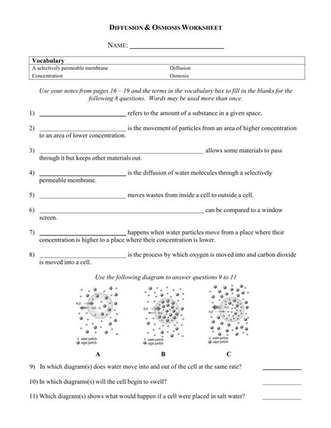 Diffusion And Osmosis Worksheet