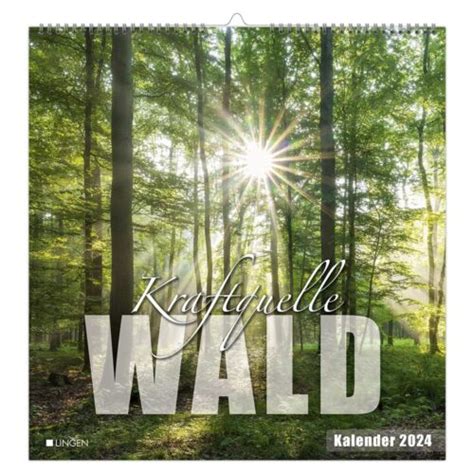 Dekokalender 2024 Kraftquelle Wald Lingenverlag De