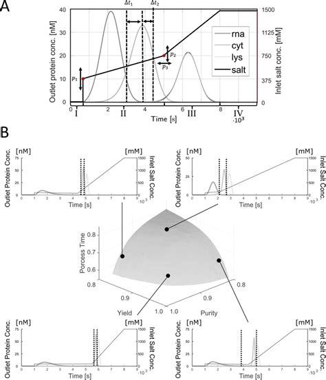 A Schematic Of The Gradient Elution Chromatography Process With Five Download Scientific