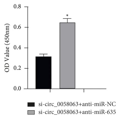 Knockdown Of Mir 635 Reverses The Knockdown Circ 0058063 Effect On