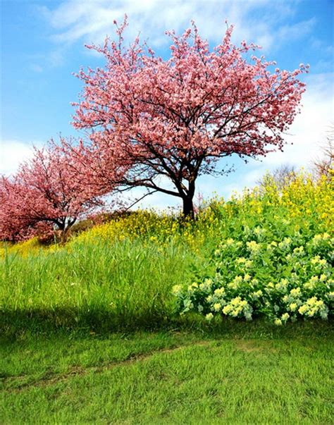 Abphoto Polyester X Ft Pink Flowers Tree Green Grass Photography