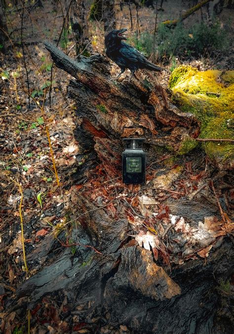 Oud Wood Tom Ford Parfum - ein es Parfum für Frauen und Männer 2007