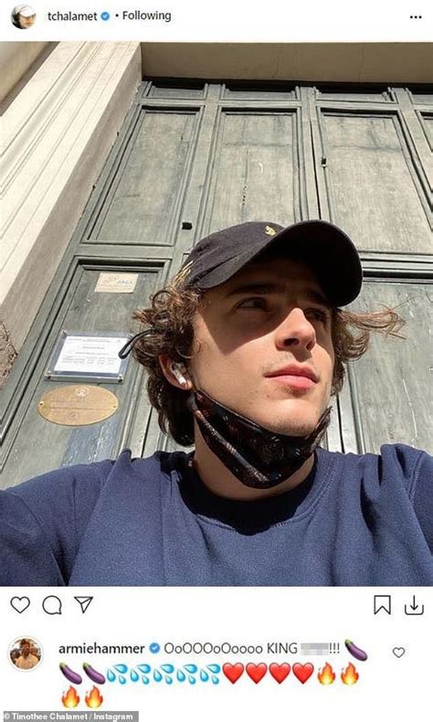 Armie hammer s saucy comment timothee chalamet s selfie goes viral ...