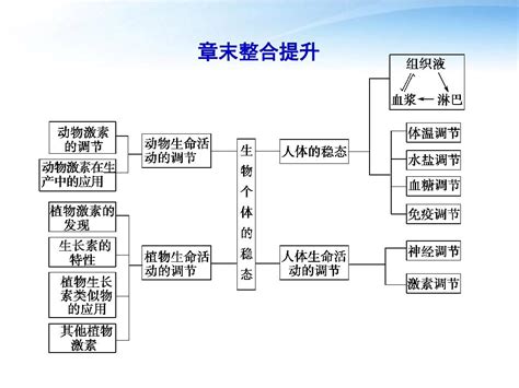 【课堂新坐标】2012高三生物一轮复习 第二章生物个体的稳态讲解word文档在线阅读与下载无忧文档