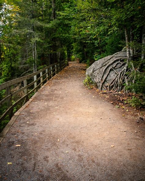 Parc National Du Fjord Du Saguenay Secteur Baie Ternit La Famille