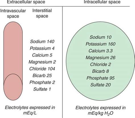 Fluid And Electrolyte Disorders Strange And Schafermeyers Pediatric