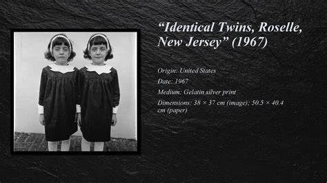 29 Interpretation Of Diane Arbus Identical Twins Roselle New Jersey